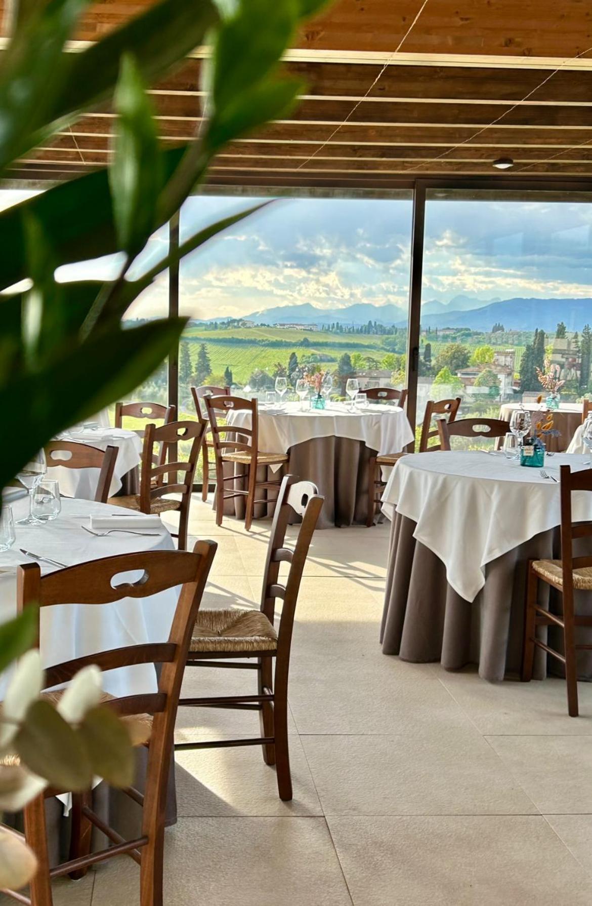 Agriturismo Casetta I 빈치 외부 사진
